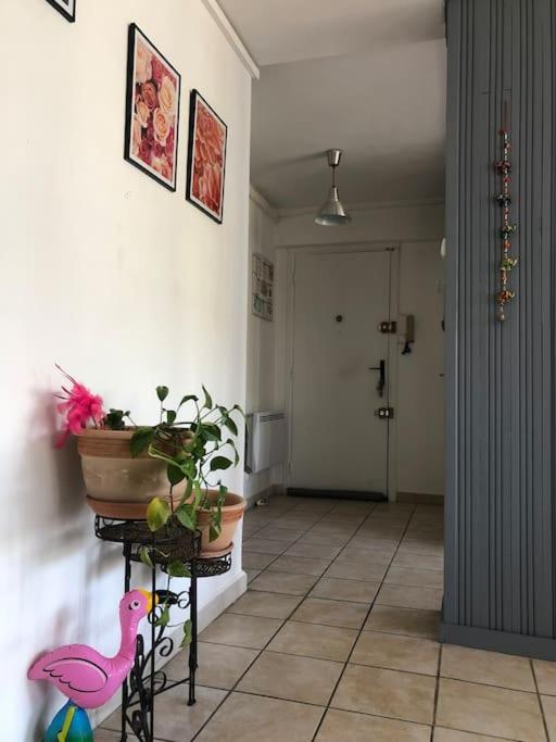 Appartement Balcon, Place De Parking, Centre Ville Valence  Kültér fotó